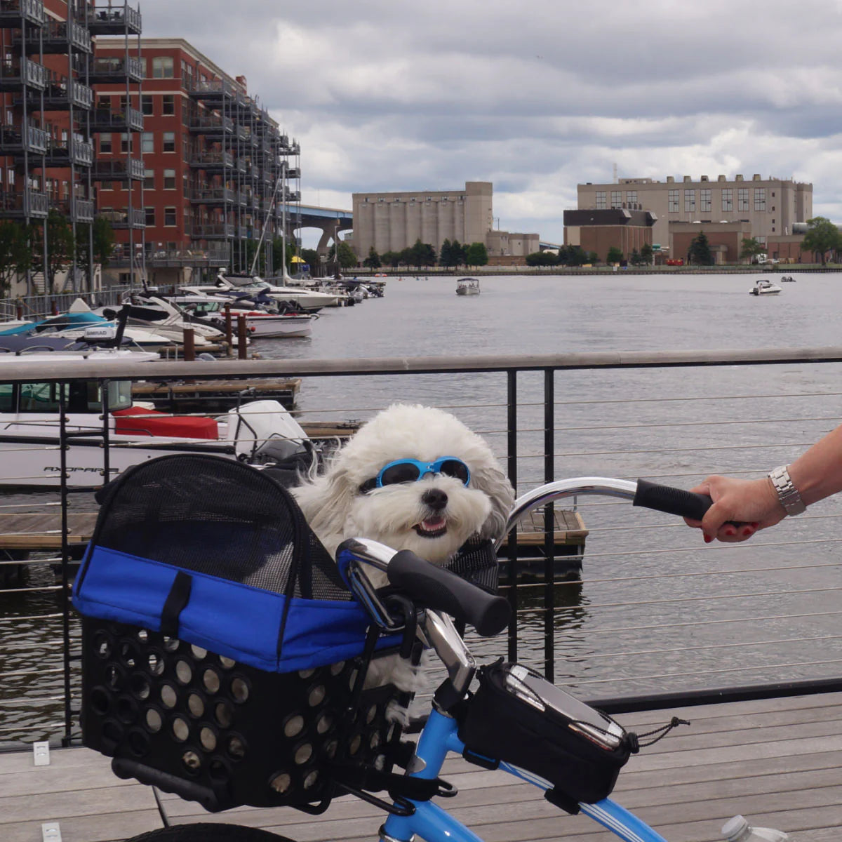 BIKASE Pet Basket