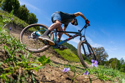 BOBCAT TRAIL 3