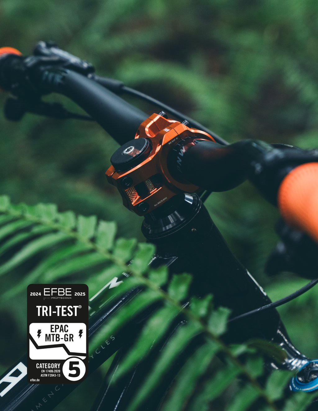 LOAM STEM