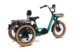 E-Cozey Electric Tricycle